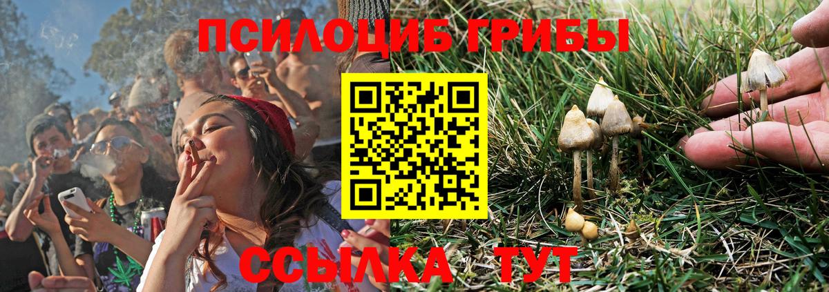 Галлюциногенные грибы Magic Shrooms  Галлюциногенные грибы мицелий  Вход с VPN  Гурьевск 